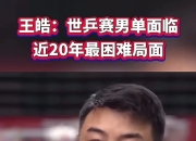 开云体育app-英国乒乓球队碾压德国乒乓球队，王皓打破历史纪录的简单介绍