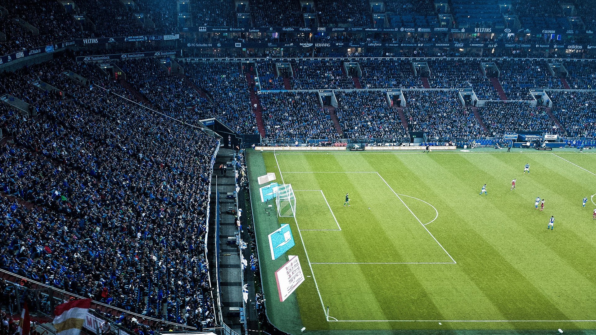 黄鸭组合羽翼蔽日,印度队绝杀德国队改写历史