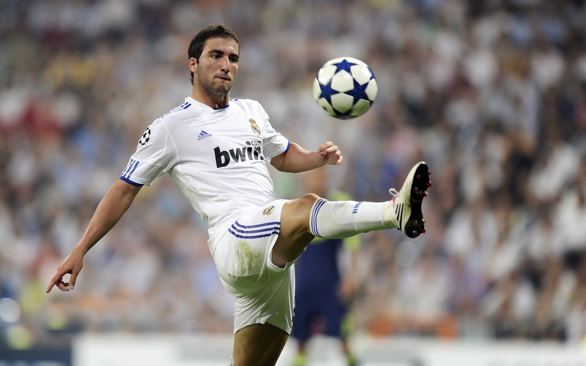 勒克莱尔独木擎天，威廉姆斯绝杀红牛二队—一场定义团队韧性与个人英雄主义的胜利